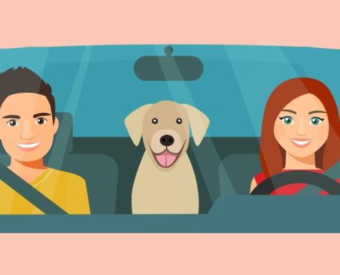 Zwei glückliche Fahrschüler und ein Hund im Auto, lächelnd nach einem WAB Kurs in Winterthur, Sicherheitsgurte angelegt, positive Stimmung im Fahrzeug