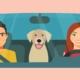 Zwei glückliche Fahrschüler und ein Hund im Auto, lächelnd nach einem WAB Kurs in Winterthur, Sicherheitsgurte angelegt, positive Stimmung im Fahrzeug