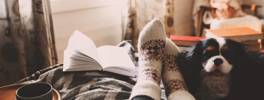 Person entspannt im Bett mit warmen Wollsocken, einem Buch, einer Tasse Kaffee und einem Hund an ihrer Seite