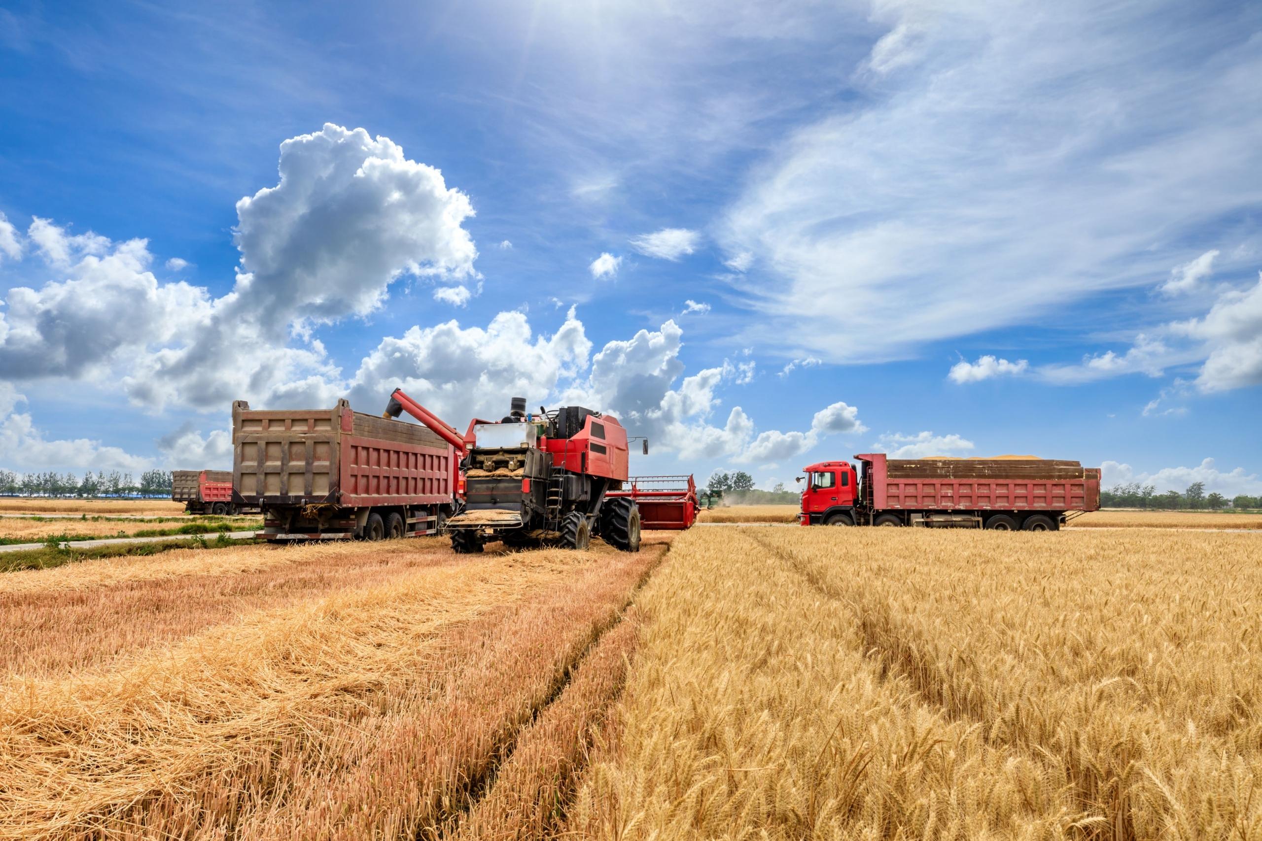 Fahrzeuge auf einem Feld