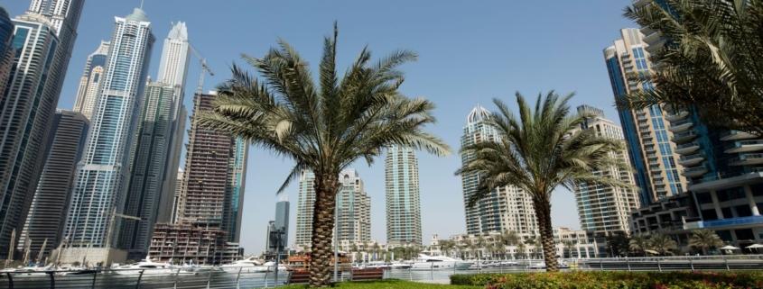 Skyline von Dubai Marina mit Palmen im Vordergrund.