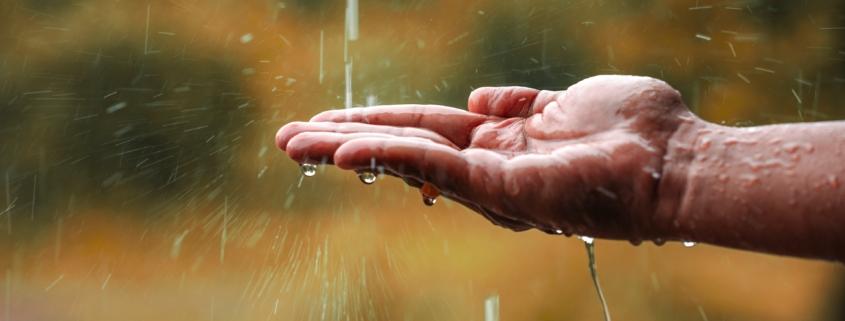 Hand fängt Regentropfen auf | Fallrohr Filter