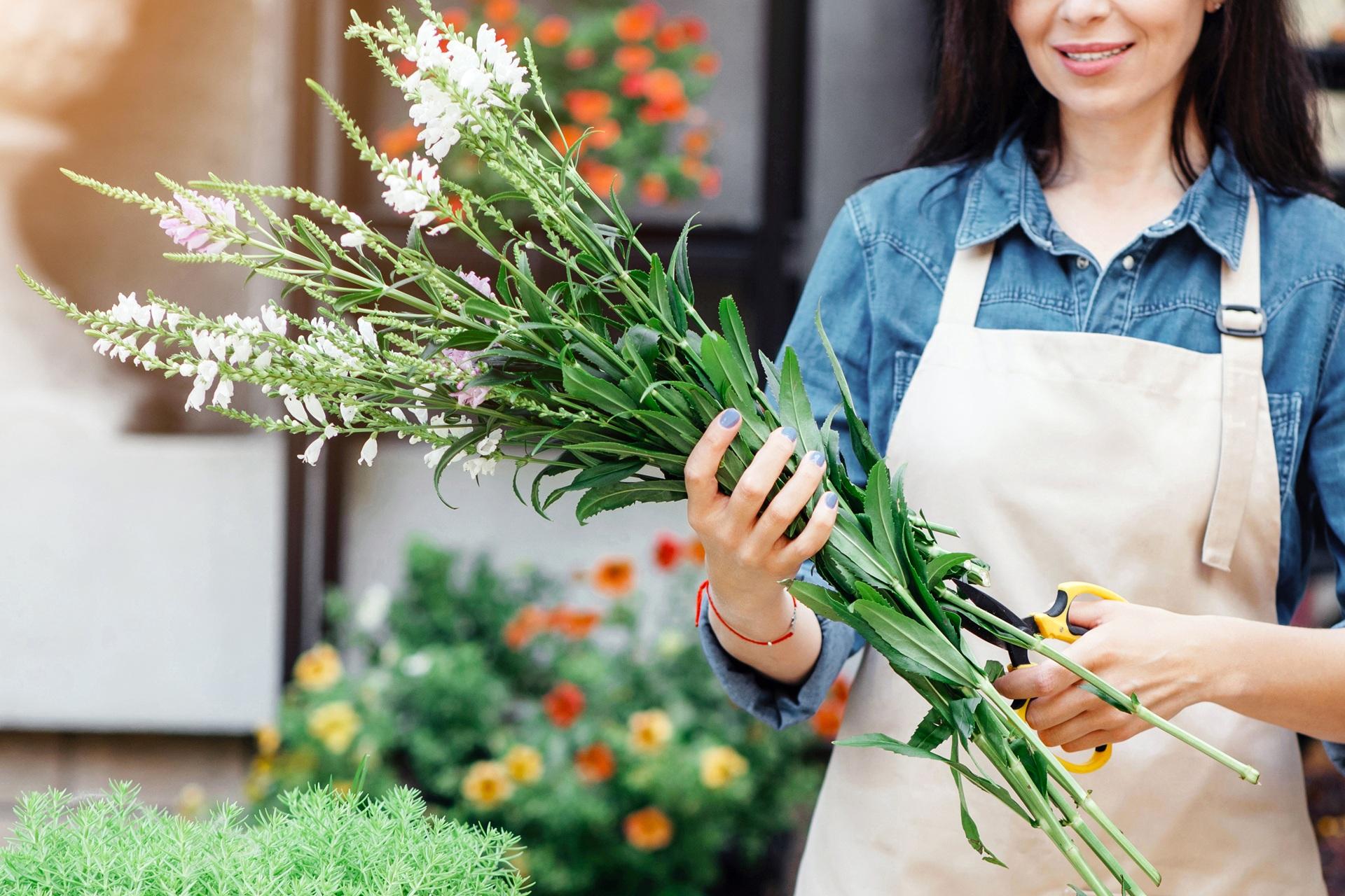 Hobbygaertnerin schneidet frische Schnittblumen mit Schere | Saatgut kaufen